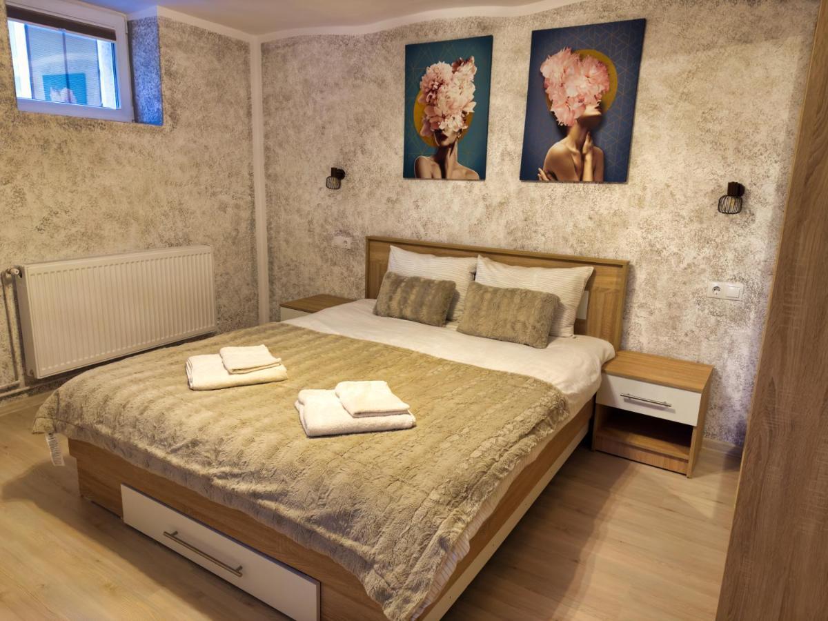 Signal Suites With Garden & Mountain View Braşov Exteriör bild